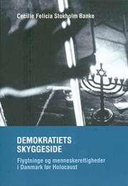 Demokratiets skyggeside