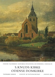 Danmarks Kirker: Odense amt, hft. 1
