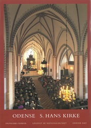 Danmarks Kirker: Odense amt, hft. 13-15